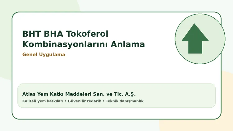 BHT, BHA ve tokoferol kombinasyonlarını anlama