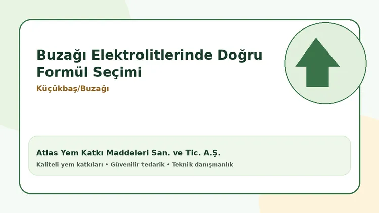 Buzağı elektrolitlerinde doğru formül seçimi