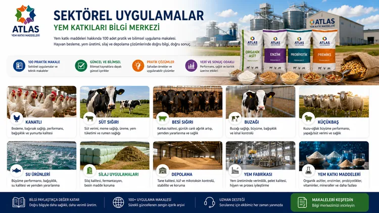 Buzağıda Rumen Gelişimini Hızlandıran Besleme Prensipleri