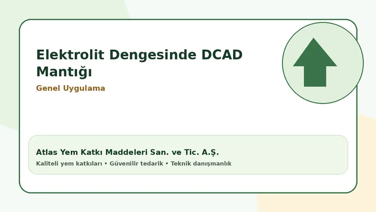 Elektrolit dengesinde DCAD mantığı