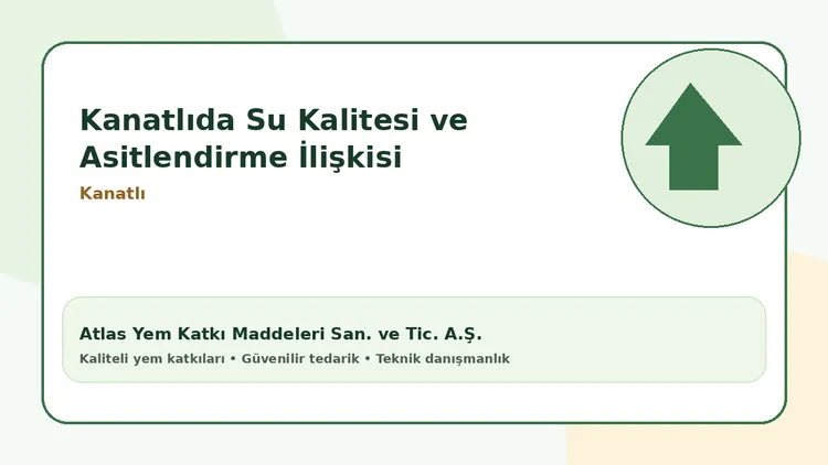 Kanatlıda su kalitesi ve asitlendirme ilişkisi teknik rehberi