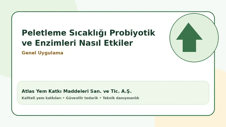 Peletleme Sıcaklığı Probiyotik ve Enzimleri Nasıl Etkiler