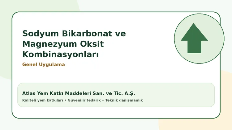 Sodyum bikarbonat ve magnezyum oksit kombinasyonları