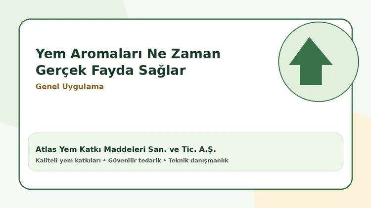 Yem Aromaları Ne Zaman Gerçek Fayda Sağlar